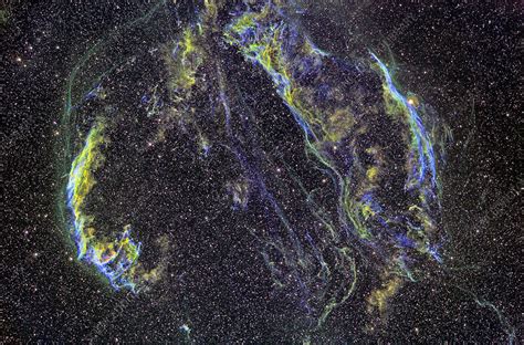 Cygnus Loop supernova remnant - Stock Image - R750/0139 - Science Photo Library