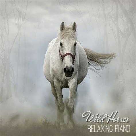 Wild Horses Relaxing Piano Mp3 Music Download | Music2relax.com