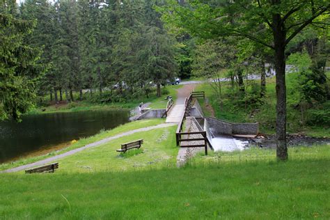 Bridge and Dam at Promised Land State Park, Pennsylvania image - Free ...