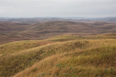 Nebraska National Forest, Bessey District