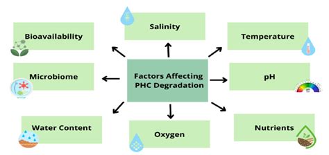 Environmental factors affecting the biodegradation of petroleum... | Download Scientific Diagram