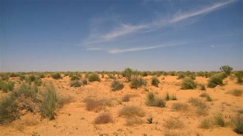 Addressing rangeland degradation in Tunisia | ICARDA