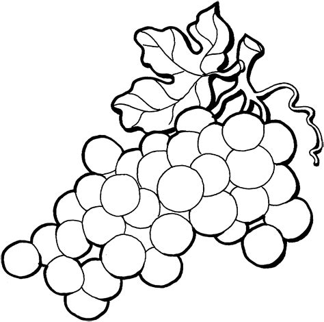 Grapes clipart black and white, Grapes black and white Transparent FREE ...