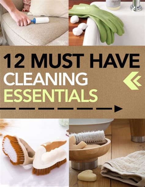 12 Must-Have Cleaning Essentials - The Organized Chick