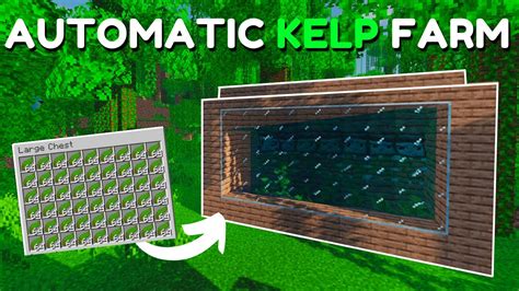 Minecraft AUTOMATIC KELP FARM TUTORIAL! Easy and Expandable! (1.16 - 1.20.4+) (Java/Bedrock ...