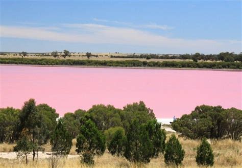 Lake Retba Pictures - Lake Retba (Lac Rose) - The Pink Lake of Senegal