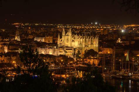 Experience the Best Nightlife in Palma de Mallorca