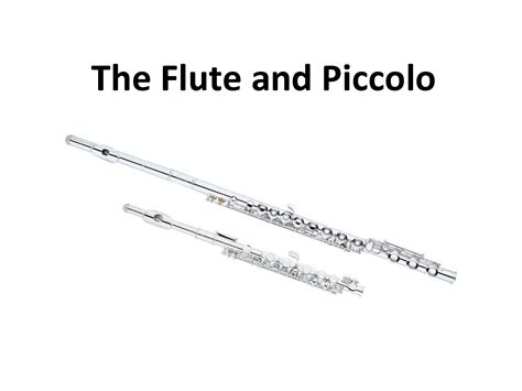 Flute/Piccolo – Louisville Federation of Musicians