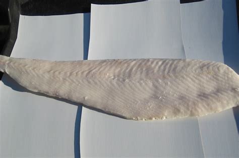 Alaskan Halibut Fillet - PRODUCTS - Sea One Seafoods