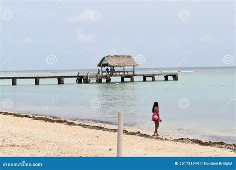 Jetty at the Pigeon Point Heritage Park, Tobago Editorial Stock Image ...