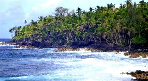 an island with palm trees and waves crashing on it