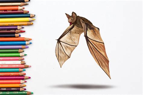 How to Draw a Bat - A Step-by-Step Guide to Create a Bat Drawing