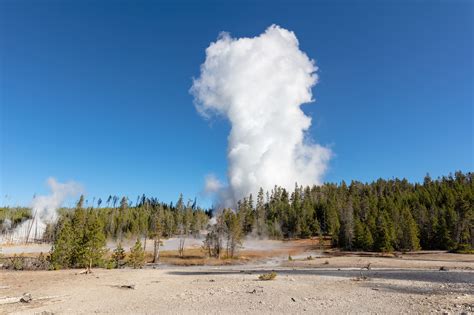 Steamboat Geyser Eruption in Yellowstone Breaks All-Time Record