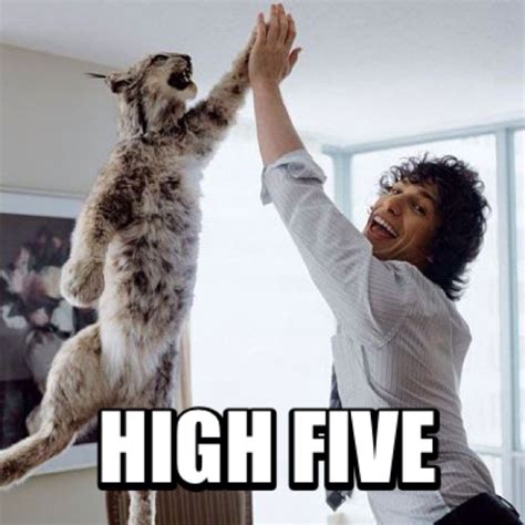 High Five Funny Images