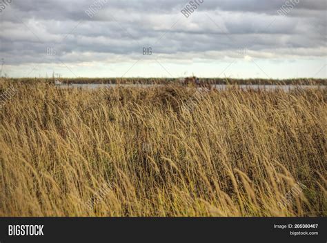 Dry Grass Field Background