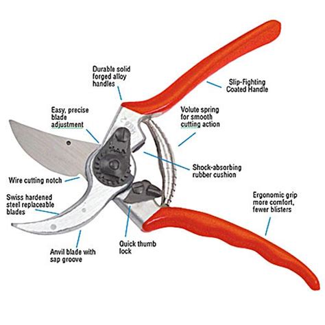 Felco 2 pruning shears | Walden Heights Nursery & Orchard