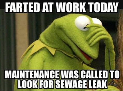 25 Kermit the Frog Memes That Are Insanely Hilarious - SayingImages.com