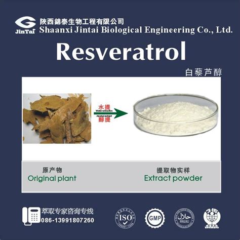 high quality 98% natural resveratrol powder (China Manufacturer) - Plant Extract - Agricultural ...