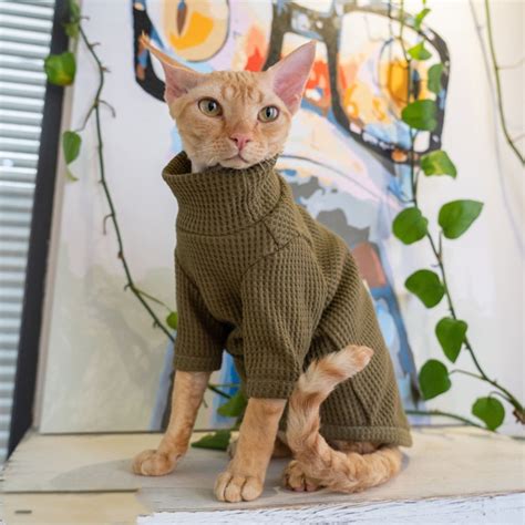 Warm Cat Clothes Sphynx Cat Sweater Hairless Cat Clothes | Etsy