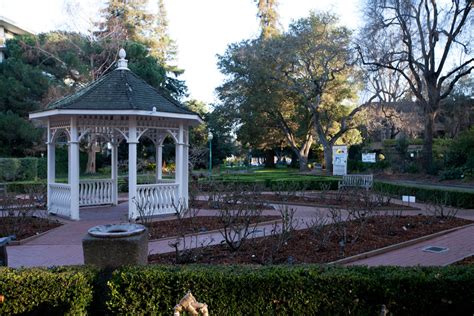 Photos of San Mateo Central Park and Teas the Season