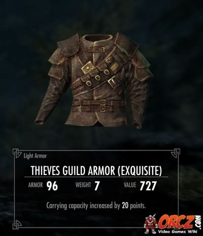 Skyrim: Thieves' Guild Armor - Orcz.com, The Video Games Wiki