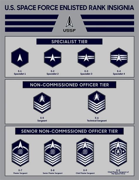 What do you think of the Space Force's new enlisted rank insignia ...