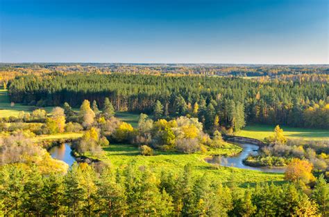 Planteliv i Estland – Store norske leksikon