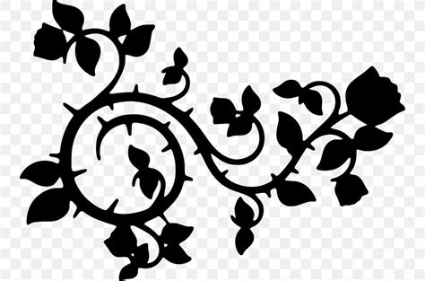 Vine Clip Art, PNG, 744x543px, Vine, Black, Black And White, Branch, Flora Download Free