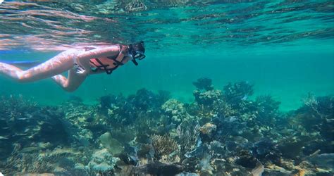 Snorkel Costa Maya Mahahual | Doctor Dive