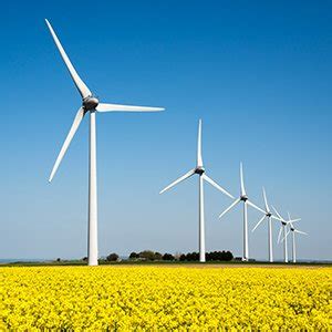 Green Energy Suppliers UK | Save Money and Go Green