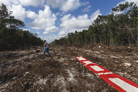 The Benefits, Challenges, and Limitations of Criminalizing Ecocide ...