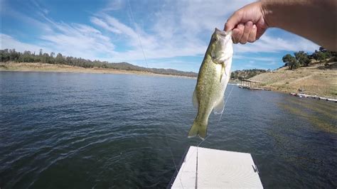 Lake Nacimiento Dock Fishing Early Morning Catching Spotted Bass - YouTube