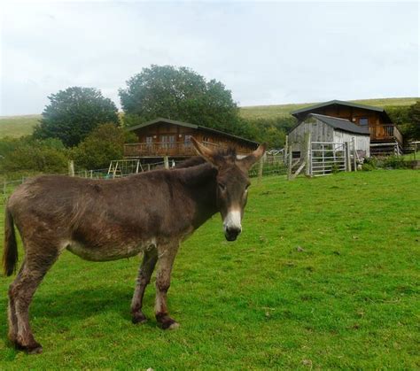 10 Best Farm Stays In Cumbria, UK - Updated 2024 | Trip101