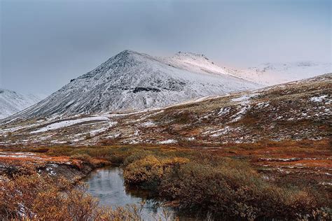 How Do Populations Survive In The Tundra? - WorldAtlas