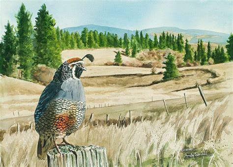 QUAIL ART PRINT a Limited Edition S/n Giclee Reproduction of California ...