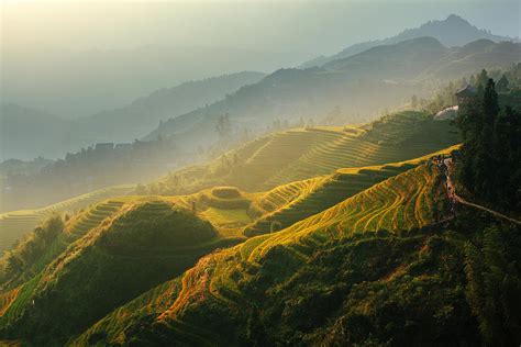 Sunrise at Terrace in Guangxi China 2 Photograph by Afrison Ma - Fine Art America