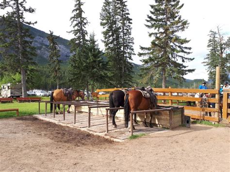 Banff Trail Riders - My First Time Horseback Riding