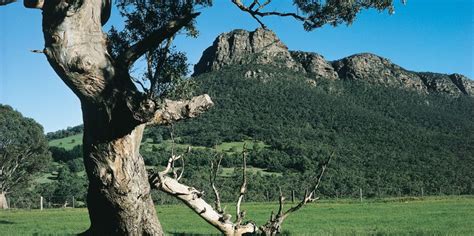 Grampians National Park Tour - Everything Australia