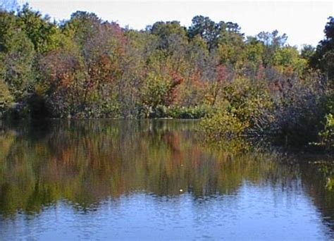 Lake Alice - Architecture of the University of Florida (Gainesville, Florida)