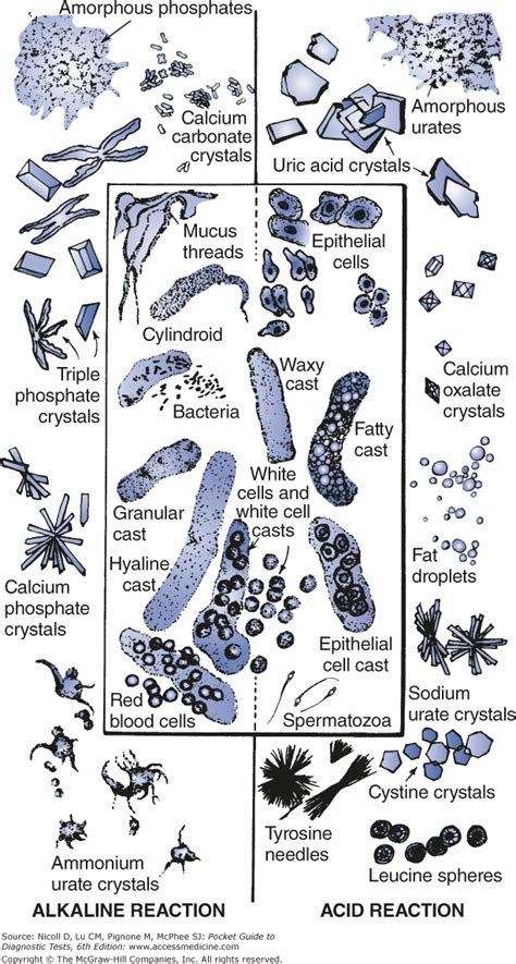 AccessMedicine | Search Results | Medical laboratory, Medical ...