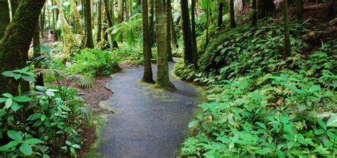 Hawaii Tropical Botanical Garden | Big Island Hawaii