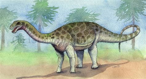 Prehistoric Beast of the Week: Saltasaurus: Prehistoric Animal of the Week