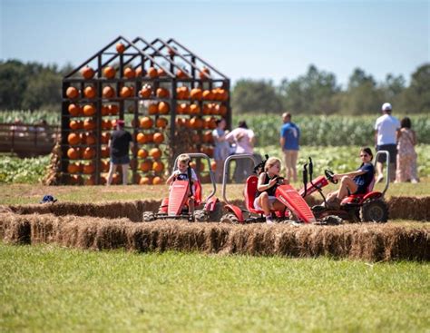 Families take in pumpkin season at Holland Farms Pumpkin Patch | PHOTOS