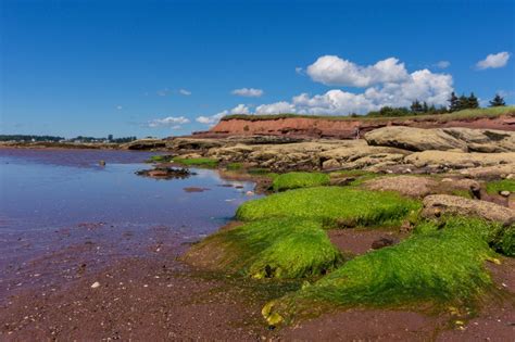 Find Your Beach in PEI - Hecktic Travels