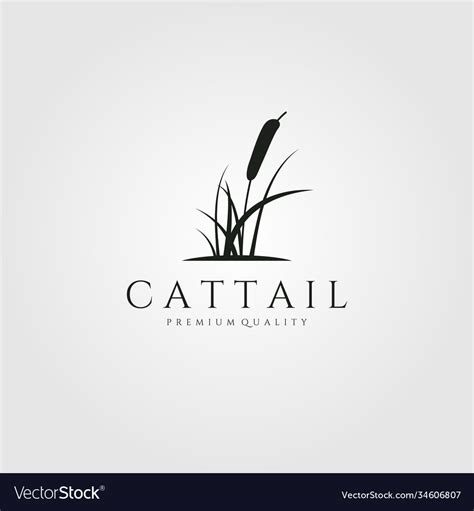 Cattail premium logo design cattail silhouette Vector Image