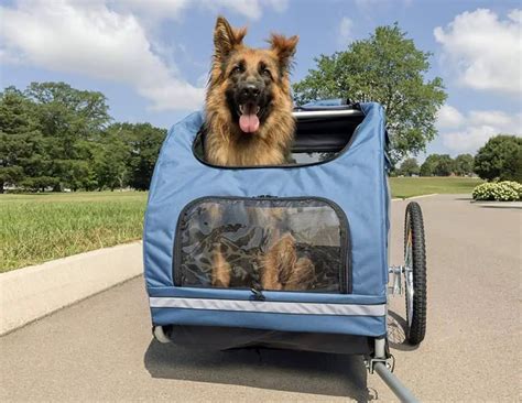 Best Bike Trailer for Large Dogs: PetSafe HoundAbout Bike Trailer ...