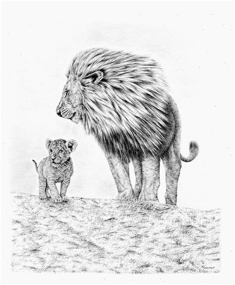 Lion and Cub Drawing by Casey 'Remrov' Vormer