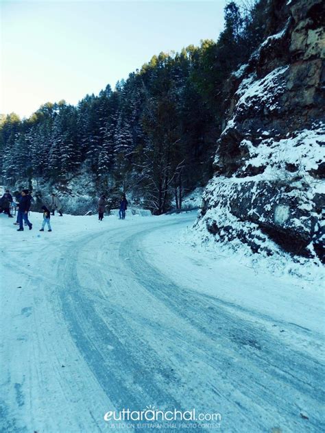 First Snowfall of 2015 in Dhanaulti - Uttarakhand Photos