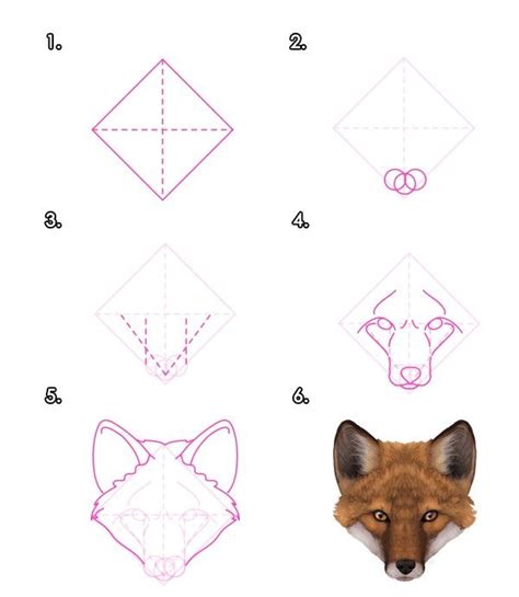 How to draw a fox head - Front | Fox drawing, Fox drawing tutorial ...