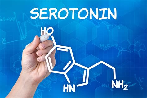 10 easy tips for boosting your serotonin levels — Health & Wellness — Sott.net